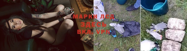 хмурый Алзамай