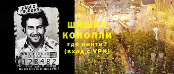 хмурый Алзамай
