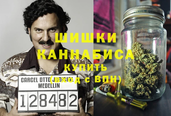 хмурый Алзамай