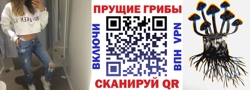 где найти наркотики Суровикино Галлюциногенные грибы MAGIC MUSHROOMS